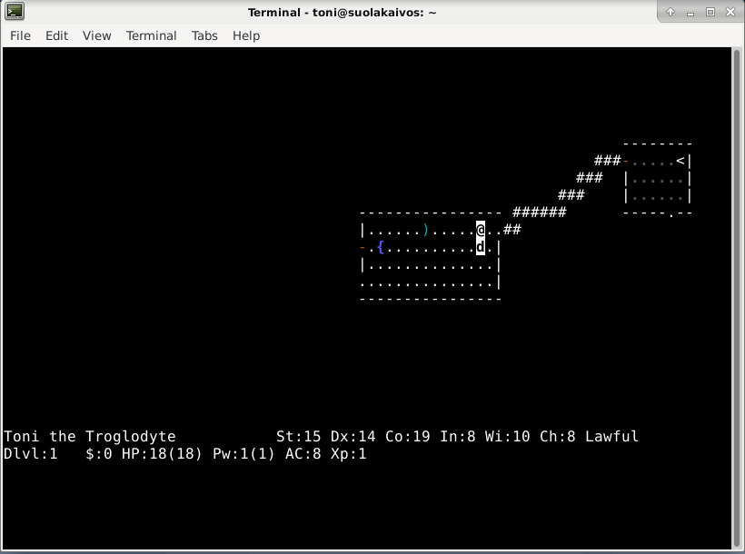 nethack1