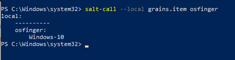 salt-call &ndash;local